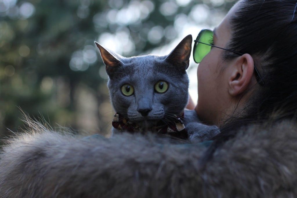 Cat with Women