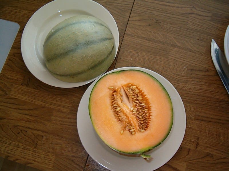 Charentais Melon