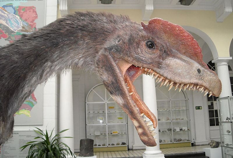 Dilophosaurus Dinosaur