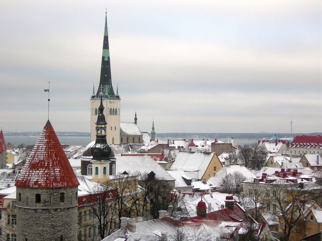 Estonia winter landscape