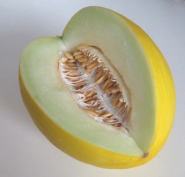 Honeydew Melon