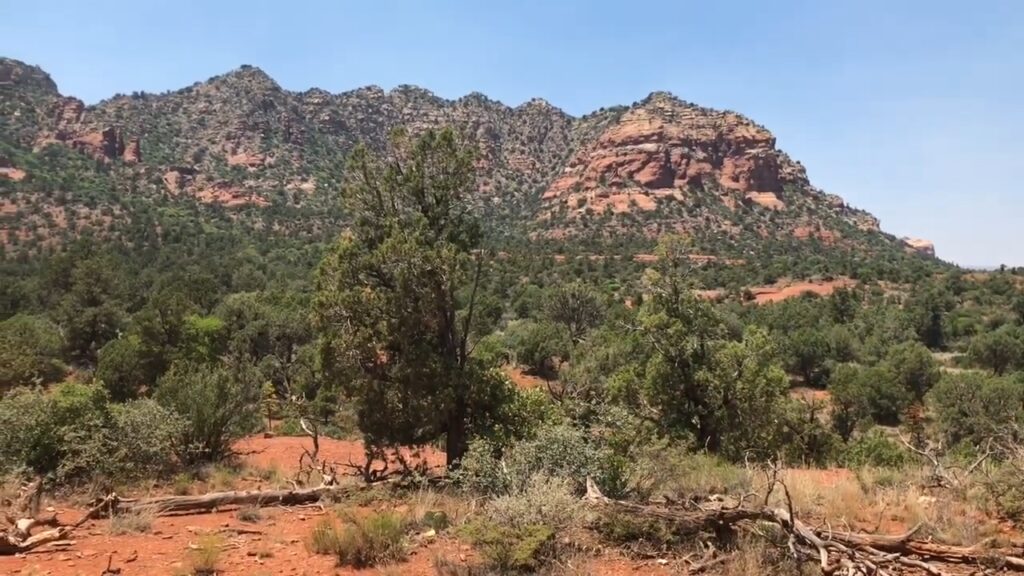 Cathedral Rock and Bell Rock