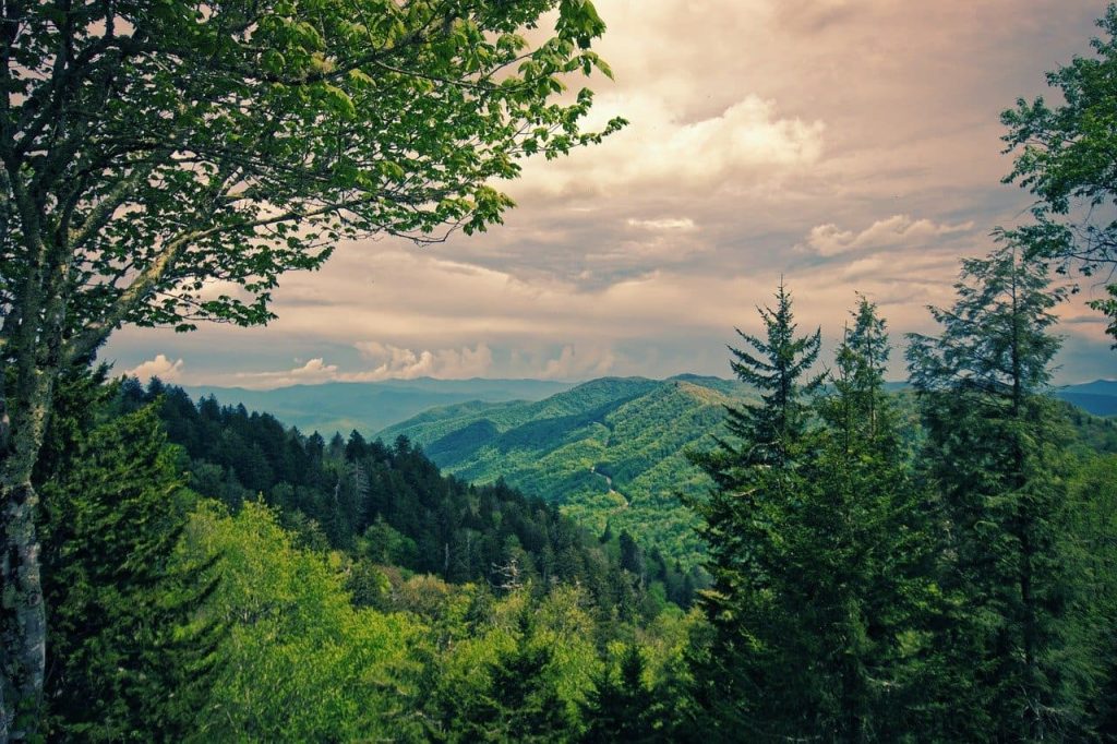 Great Smoky Mountains National Park