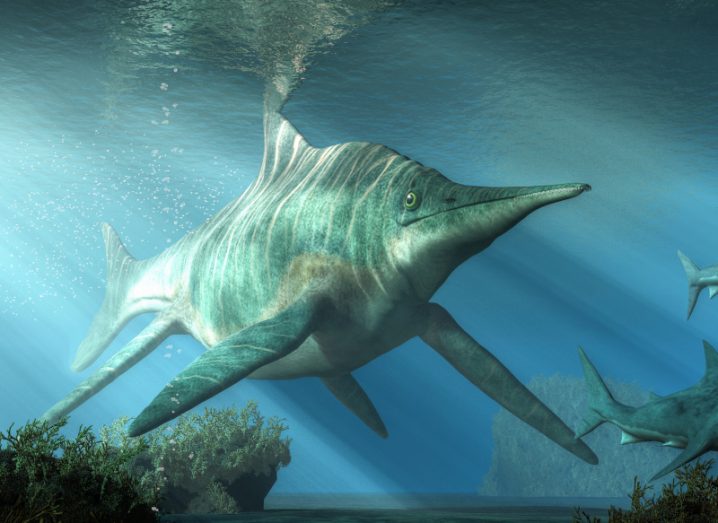 Illustration of an ichthyosaur