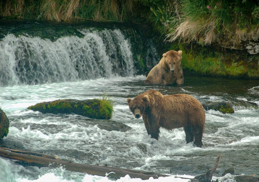 Katmai National Park