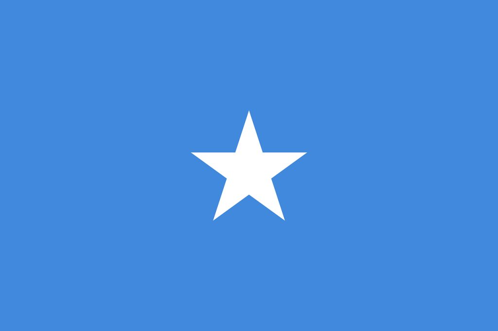 flag of Somalia 