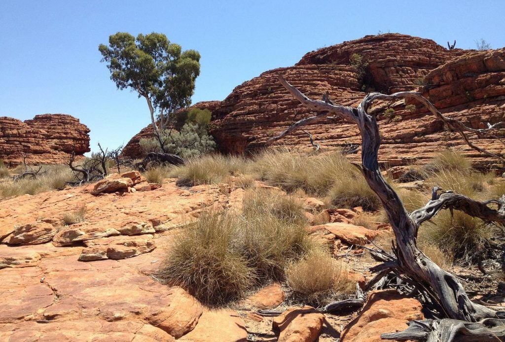 Australian Desert