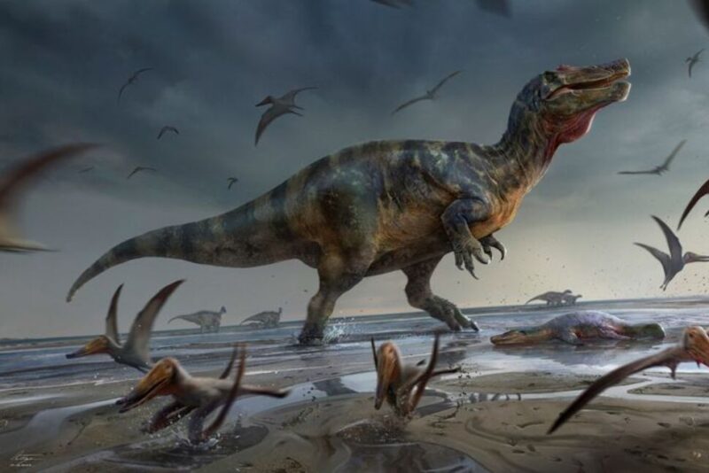 Europe's largest meat-eating dinosaur found on Isle of Wight