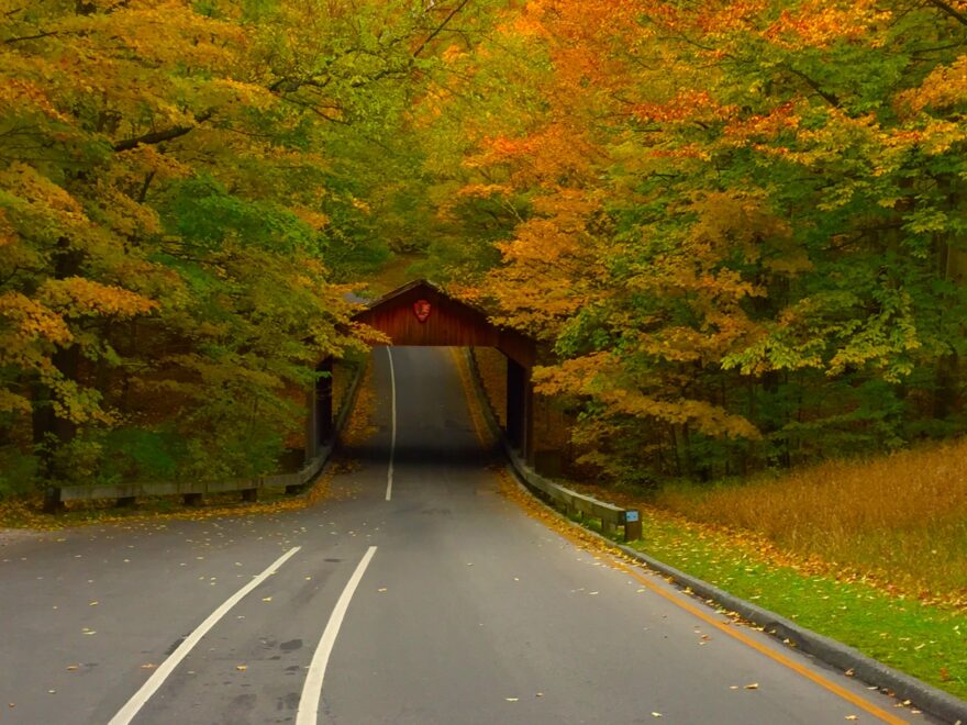 Pierce Stocking Scenic Drive bridge