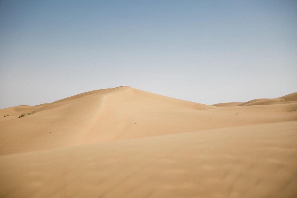 The Arabian Desert