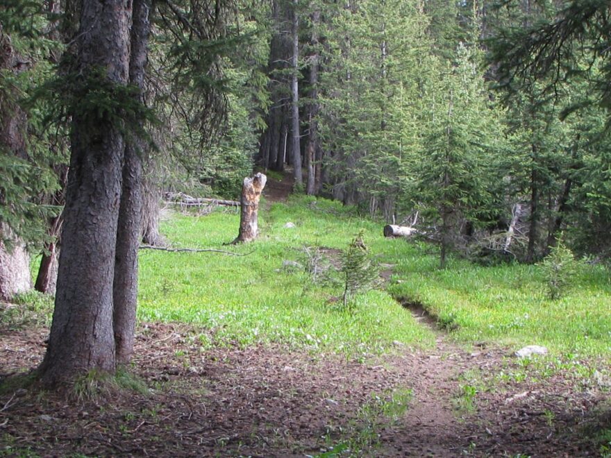 cottonwood trail pierce stocking scenic drive