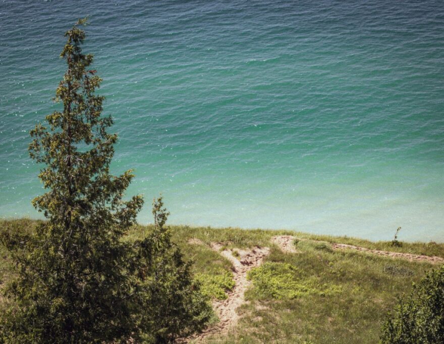 dune ecology pierce stocking scenic drive