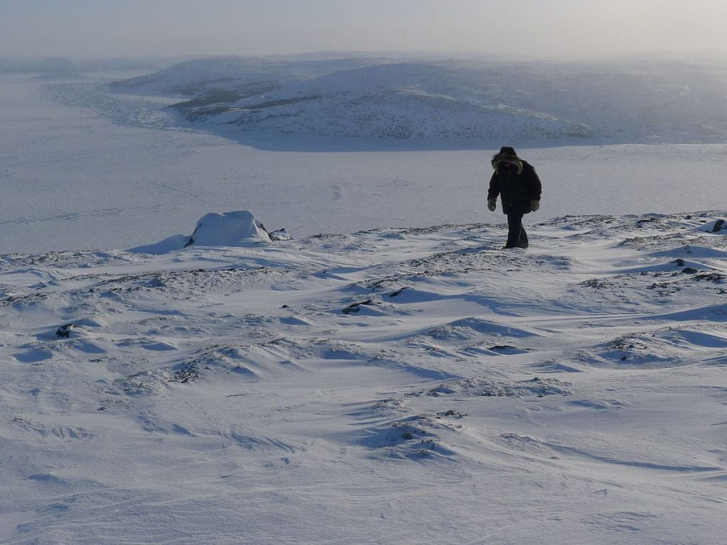 the arctic desert