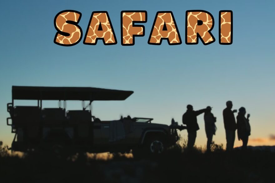 Safari specialist