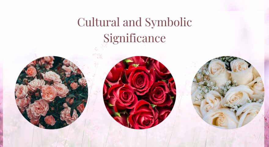 Cultural and Symbolic Significance