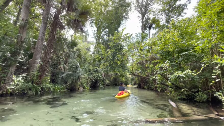 Kayaking and Canoeing in Orlando's Waterways